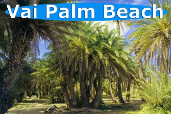 Discover the beauty of Vai beach with our taxi service. Book taxi now